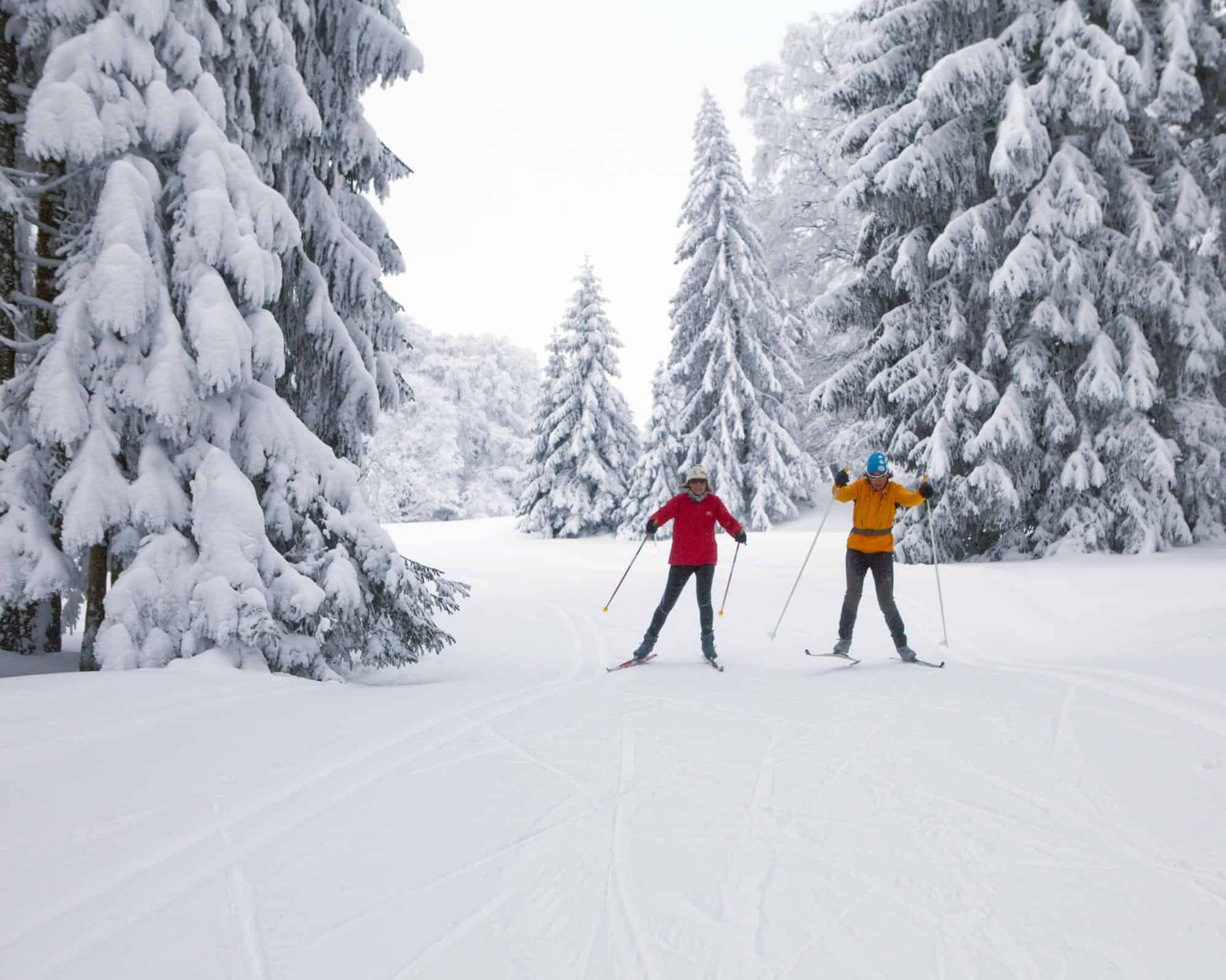 Parcours de ski de fonds : Les Milles Sapins (Les Breuleux)