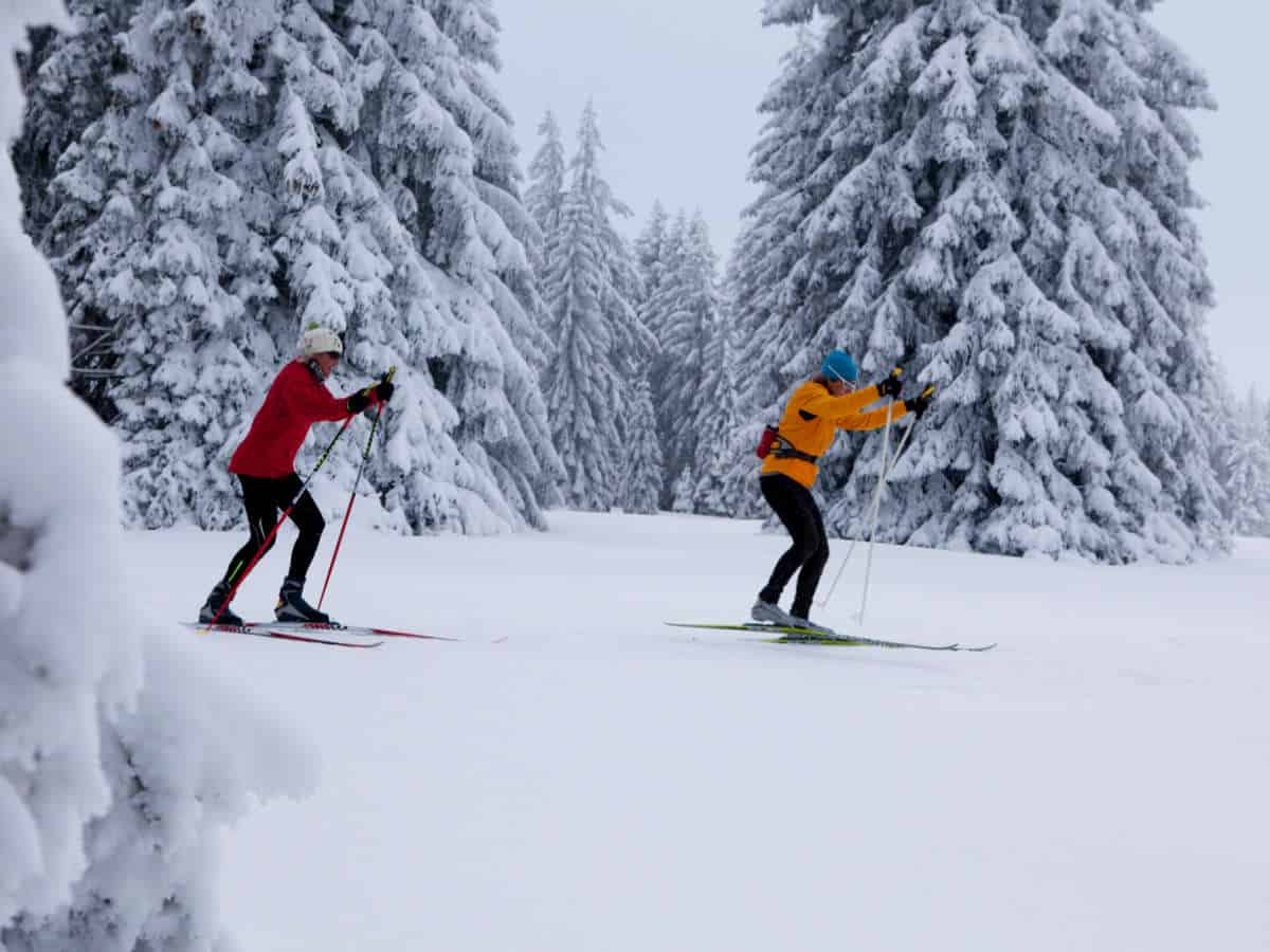 AJSF - Parcours de ski de fond Les Genevez - Lajoux